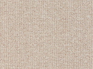 Ковролин Balta Brazil 640 фото 1 | FLOORDEALER